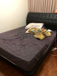 Oleander Towers (D12), Apartment #483128571